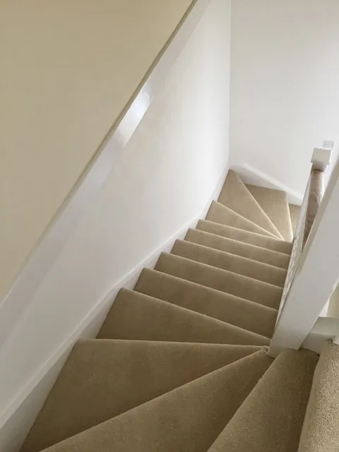 carpet