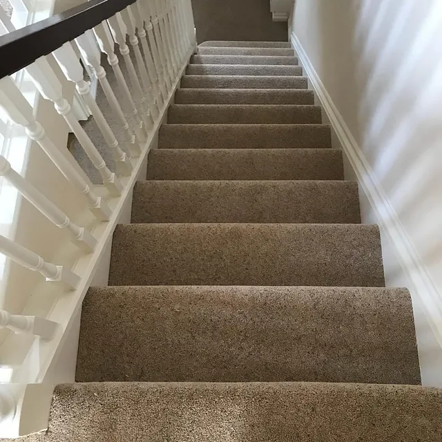 carpet