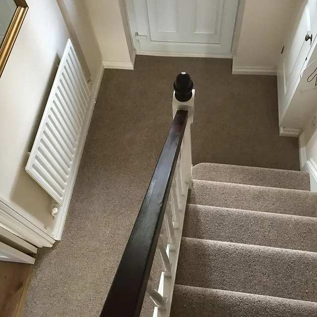 carpet