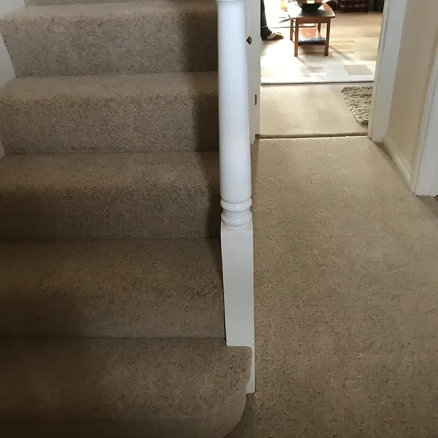 carpet