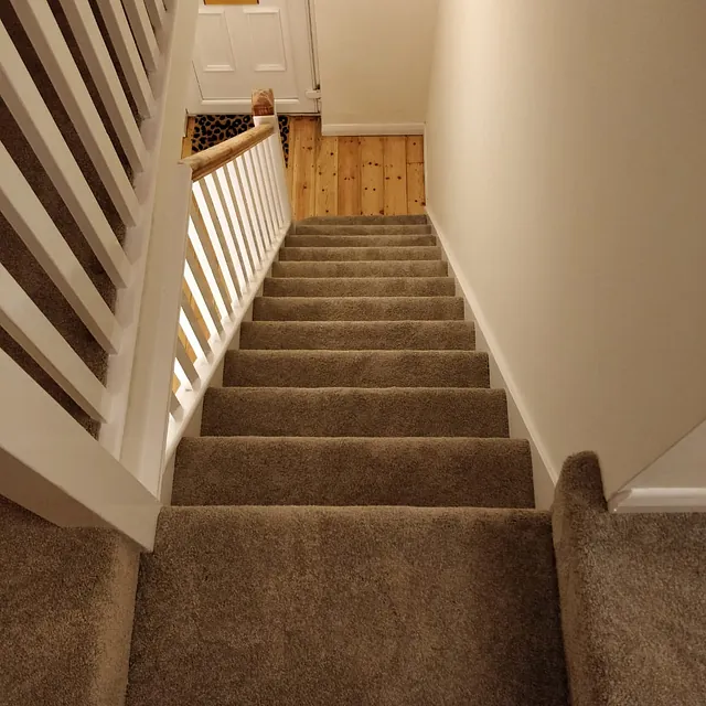 carpet