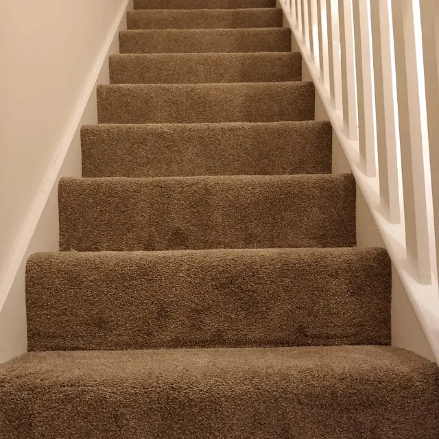 carpet
