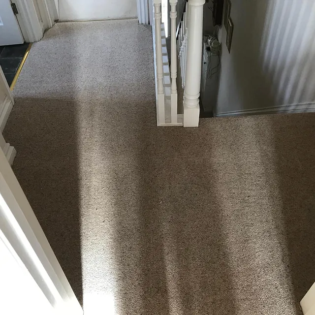carpet